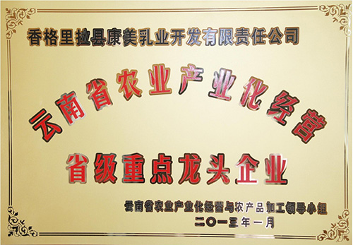 公司榮譽